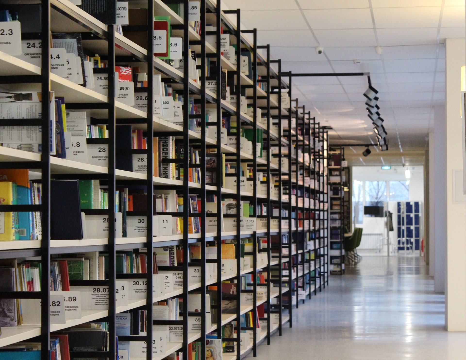 Library shelves containing books